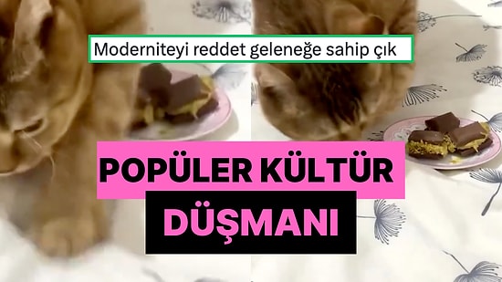 Dubai Çikolatasını Tuvaleti Sanıp Üstüne Toprak Atmaya Çalışarak Tavrını Gösteren Popüler Kültür Düşmanı Kedi