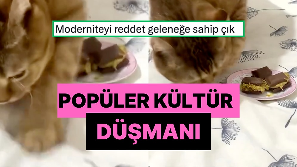 Dubai Çikolatasını Tuvaleti Sanıp Üstüne Toprak Atmaya Çalışarak Tavrını Gösteren Popüler Kültür Düşmanı Kedi