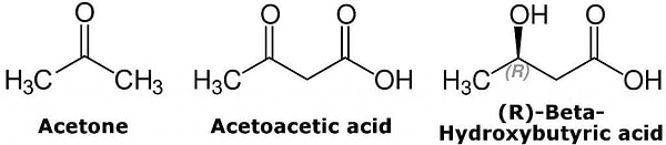 Keton cisimcikleri, vücutta oluşan iki suya çözünür molekülden (asetoasetat ve beta-hidroksibutirat) oluşuyor ve beyin için enerji kaynağı haline geliyor.