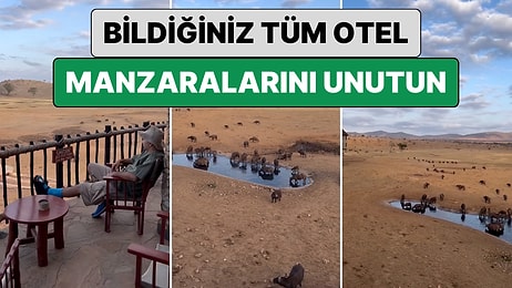 Bildiğiniz Tüm Otel Manzaralarını Unutun: Bir Gezgin Kenya'da Kaldığı Otelin 'Doğa' Manzarasını Paylaştı