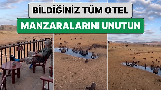 Bildiğiniz Tüm Otel Manzaralarını Unutun: Bir Gezgin Kenya'da Kaldığı Otelin 'Doğa' Manzarasını Paylaştı