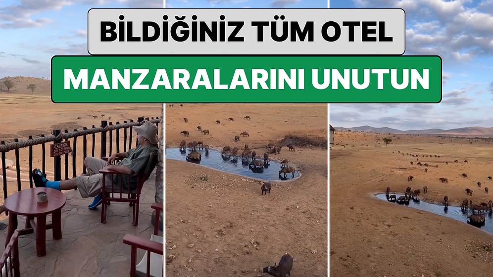 Bildiğiniz Tüm Otel Manzaralarını Unutun: Bir Gezgin Kenya'da Kaldığı Otelin 'Doğa' Manzarasını Paylaştı