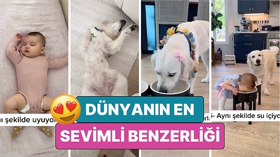 Ama Bunlar Gerçekten İkiz! Evin Köpeğiyle Tamamen Aynı Görünen Minik Kızın Sevimli Benzerliği