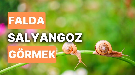 Falda Salyangoz Görmek Ne Anlama Gelir? Sağlığınıza Dikkat Etme Zamanı!