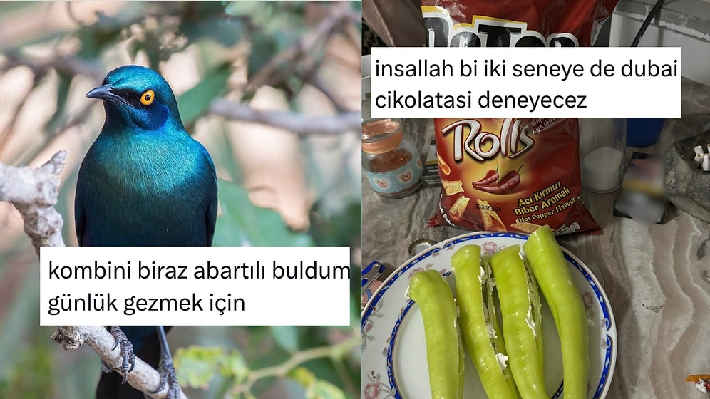 Küfürsüz de Komik Olunabileceğini Kanıtlayan Kadınlardan Haftanın En Çok Güldüren Tweetleri