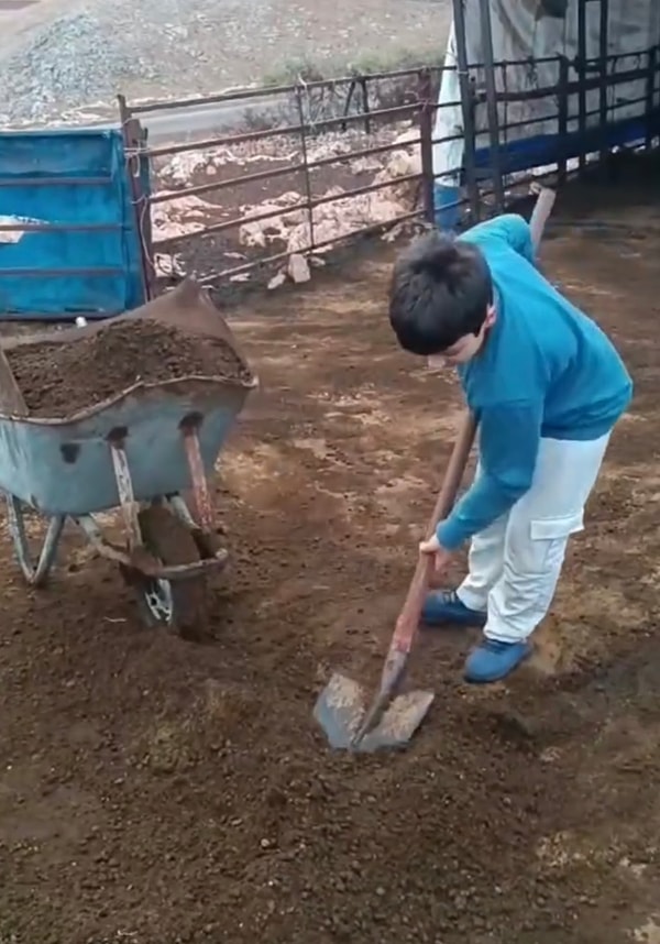 Kimileri anne ve babalarının hayvancılık işlerine yardım etmiş, kimileri ise mutfak işlerine girişmişti.