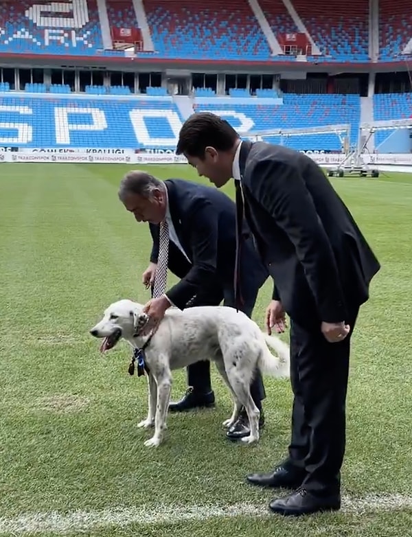 İşletmecilerden ricası ise sokak köpekleri gündeminden dolayı, herkesin elini taşın altına koyup bir köpek sahiplenmesiydi.