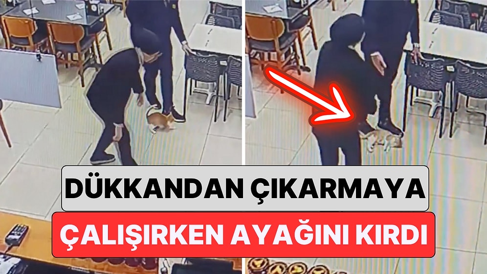 Samsun'da Bir Restoranda İçeri Giren Kediyi Çıkarmak İsteyen Çalışan Kedinin Bacağını Kırdı