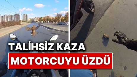 Trafikte Giderken Serçeyle Çarpışan Motorcu Kuşu O Halde Görünce Duygularına Hakim Olamadı