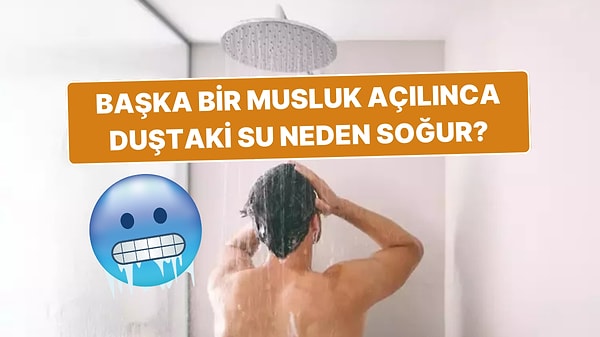 8. Başka Biri Musluk Açınca Duştaki Suyun Soğumasının Okuyunca Mantıklı Bulacağınız Sebepleri