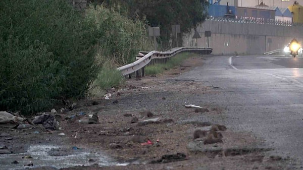 İskenderun ilçesine bağlı Sarıseki Mahallesi'nde E-5 kara yolu üzerine  araçlardan tahıllar döküldü. Bu tahıllar, farelere yem oldu.