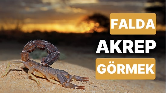 Falda Akrep Görmek Ne Anlama Gelir? Gözünüzü Dört Açın Her Şeyi Görmeniz Gerekecek!