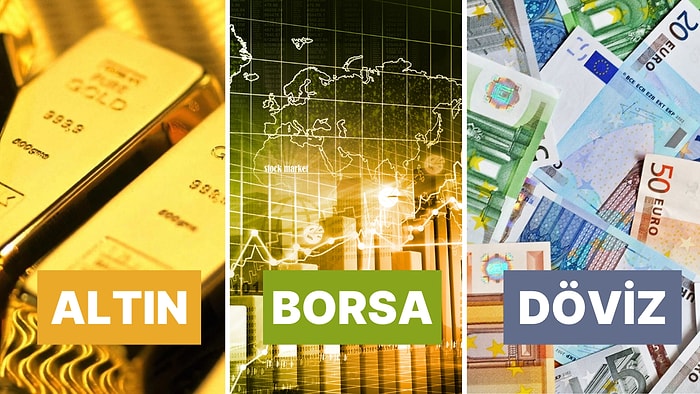 Borsa ve Altın Düşüşte, Dolar Yükseliyor! 12 Kasım 2024 Piyasalarında Son Durum