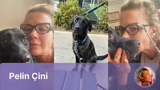 Pelin'in Seyir Defteri: Oscar