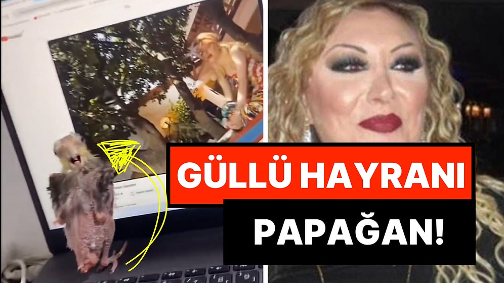 Güllü Dinleyerek Efkarlanan Sultan Papağanının O Anları Size de Bir Yerlerden Tanıdık Gelecek