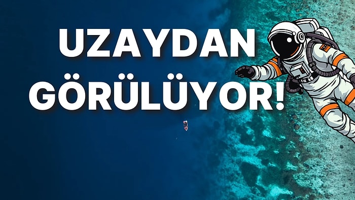 Uzaydan Görülebilen İki Basketbol Sahası Büyüklüğünde Dev Bir Deniz Yaratığı Keşfedildi