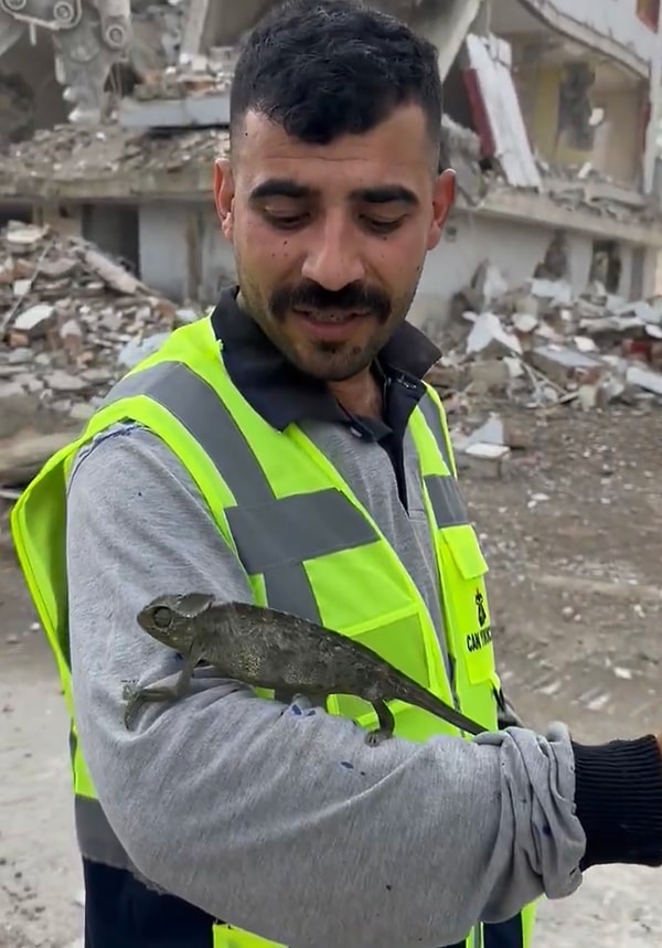 Binada bulunan bukalemun olduğu yerden kurtarılarak korumaya alındı.