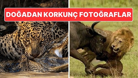 Doğanın Korkutucu Yüzünü İliklerinize Kadar Hissetmenize Sebep Olacak Birbirinden Ürkütücü 15 Yeni Fotoğraf