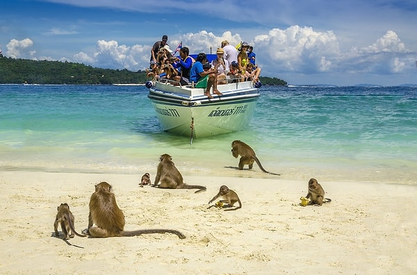 Phi Phi Island in Thailand: Monkey Beach