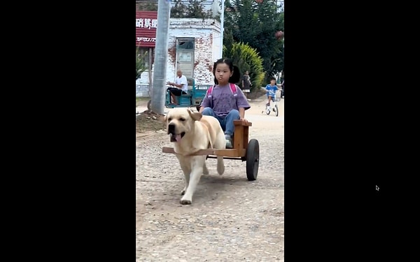 Bir baba, kızı okula patili dostuyla gidip gelebilsin diye basit bir araç tasarladı.