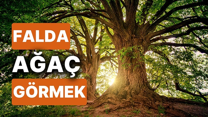 Falda Ağaç Görmek Ne Anlama Gelir? Hayatınızı Değiştirecek Güzellikler Yeşilde Saklı