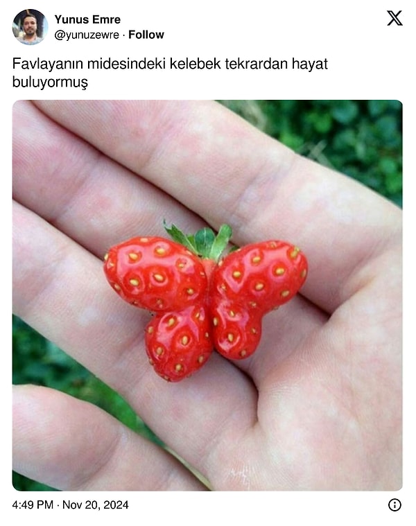 Bu gerçek olacakmış gibi geldi bana.