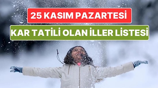 Bugün Okullar Tatil mi? Düzce, Adana, Kayseri, Nevşehir: 25 Kasım 2024 Pazartesi Kar Tatili Olan İller Listesi