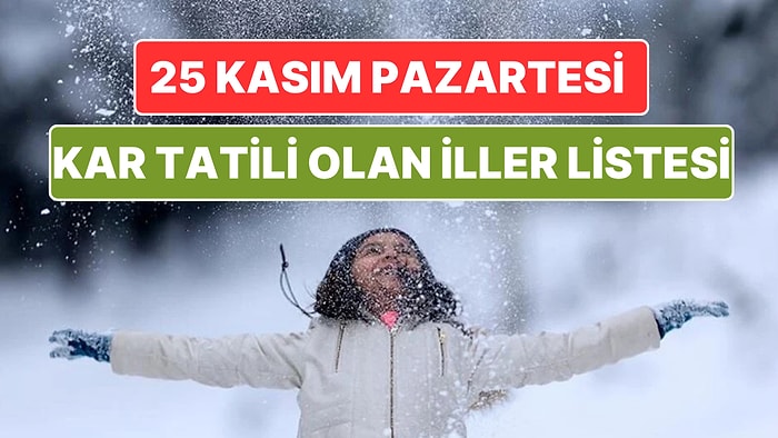 Bugün Okullar Tatil mi? Düzce, Adana, Kayseri, Nevşehir: 25 Kasım 2024 Pazartesi Kar Tatili Olan İller Listesi