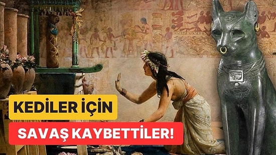 Antik Mısır’da Kediler Neden Tanrısal Varlıklar Olarak Görülürdü? Bu Efsanevi Sevginin Ardındaki Sebepler