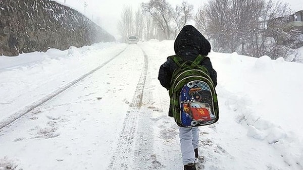 Yurtta etkisini sürdüren kar yağışlı soğuk hava nedeniyle Ordu, Kayseri, Erzurum, Bitlis, Bayburt, Bingöl, Erzincan, Sivas, Hakkari, Aksaray ve Batman'da eğitime ara verildi.