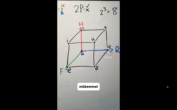 Öğretmenin anlattıkları, pek çok kişinin dilimize bakış açısını genişletti.