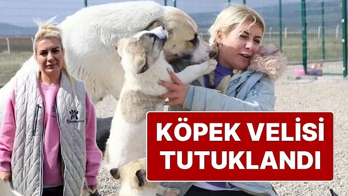 Haksız Kazanç Elde Ettiği Ortaya Çıkan Köpek Velisi Buket Özgünlü Tutuklandı