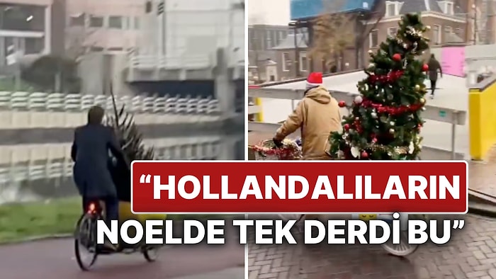 Hollanda’da Noel Ağacı Telaşı Sosyal Medyada Gündem Oldu: Ülkemizdeki Sorunlarla Karşılaştırıldı