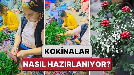 Bir Sosyal Medya Kullanıcısı Son Yıllarda Yılbaşlarının Popüler Çiçeği Kokina'nın Yapım Sürecini Paylaştı