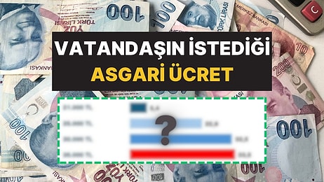 MetroPOLL Araştırma’dan Asgari Ücret Anketi: Vatandaşın İstediği Rakam Belli Oldu