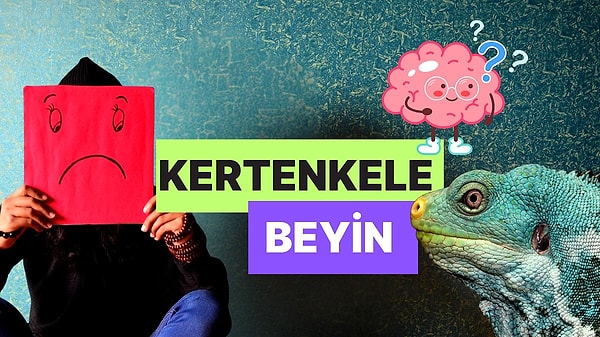 5. Her Buluşmadan Sonra “Çok mu Konuştum?” Diye Düşünmenize Sebep Olan ‘Kertenkele Beyin’