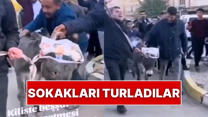 Kilis’te Yaşayan Suriyeliler Eşeğe Esad Fotoğrafı Takarak Yürüyüş Yaptı