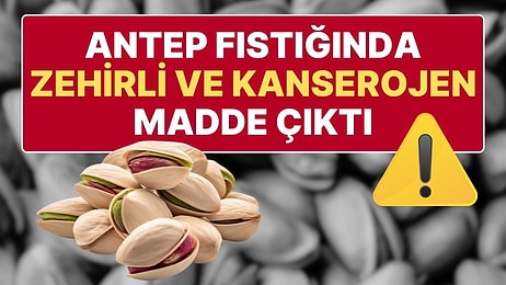 Türkiye’den Yurt Dışına İhraç Edilen Antep Fıstığında Zehirli ve Kanserojen Madde Tespit Edildi