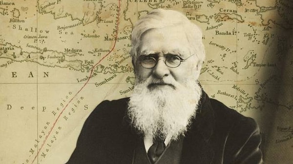 Bu hattı ilk kez 1859 yılında İngiliz doğa bilimci Alfred Russel Wallace çizdi. Wallace’ın bu hattı keşfetmesi, biyocoğrafyanın anlaşılmasında büyük bir dönüm noktası oldu.