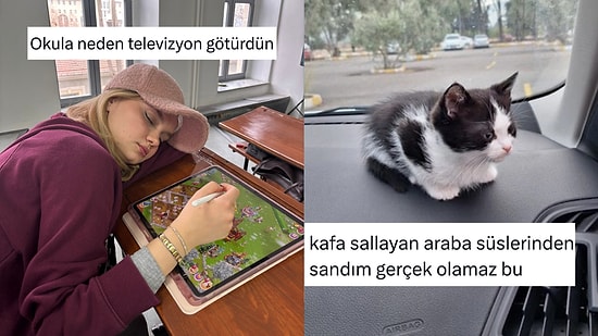 Fakir Gözüyle Bakanlardan Kedilerin Her Yerden Çıkmasına Son 24 Saatin Viral Tweetleri