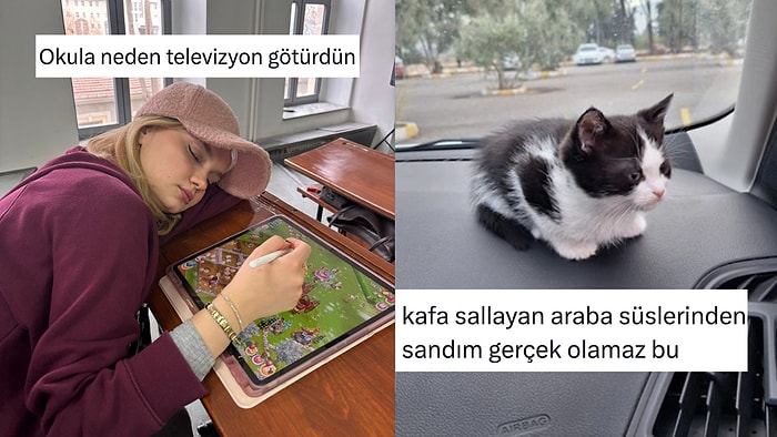 Fakir Gözüyle Bakanlardan Kedilerin Her Yerden Çıkmasına Son 24 Saatin Viral Tweetleri