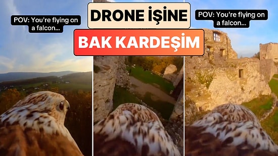 Drone İşine Bak Kardeşim: Kamera Takılan Bir Şahinin Manzaraya Karşı Gerçekleştirdiği Muazzam Uçuş