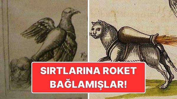 11. 16. Yüzyılda Kediler ve Kuşlar Neden Roket Olarak Kullanılmıştı?