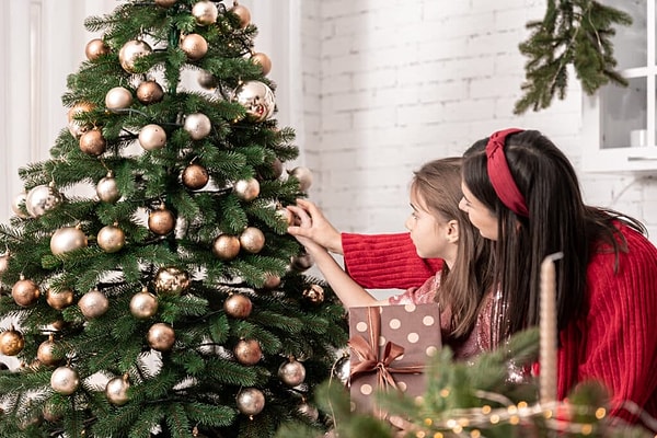 Bugün bildiğimiz Noel ağacının karakteristik unsurları yüzyıllar içinde şekillendi. Hristiyan piramitlerinden alınan yıldız, ışıklar ve süslemeler birleşerek şenlikli ve görkemli bir görüntü oluşturdu.