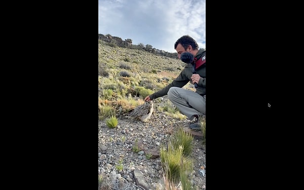 Kuşun da adeta ona cevap verdiği röportaj sosyal medyada beğeni topladı.