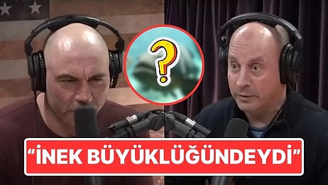 İki Hafta Okyanusun Dibinde Yaşayan Adam Karşılaştığı En Korkutucu Şeyi Anlattı: 'İnek Büyüklüğündeydi!'