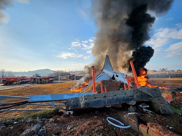 The passenger plane was identified as a Boeing 737-800 from the Jeju Air fleet.