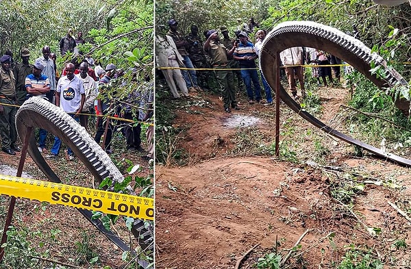 Kenya Uzay Ajansı, galaksiler arası nesneyi güvence altına aldı ve kısa süre içerisinde araştırmalara da başladı!