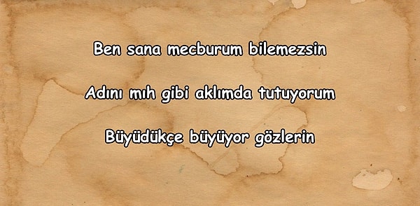 5. Bu dizeler hangi şaire ait olabilir?