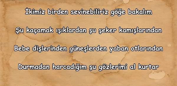 7. Bu dizeler hangi şaire ait olabilir?